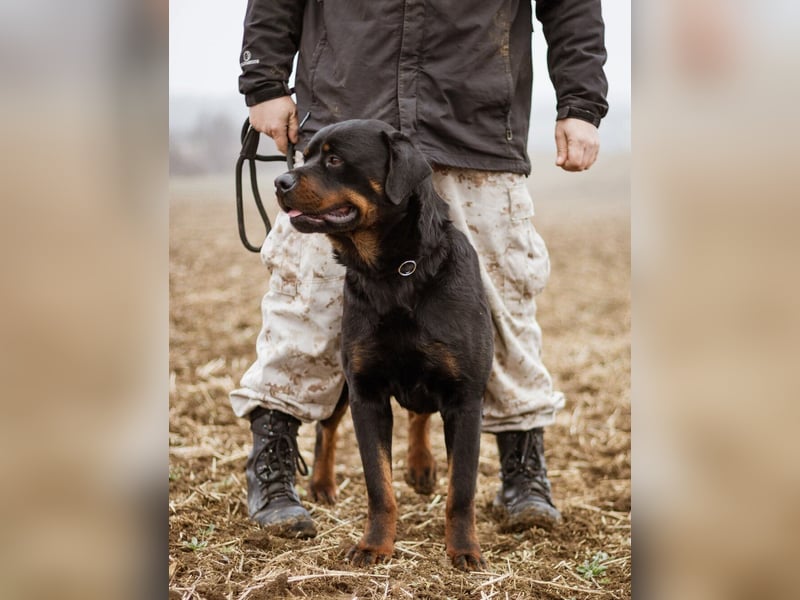 Raul, toller Naturbursche sehnt sich nach Eurer Nähe