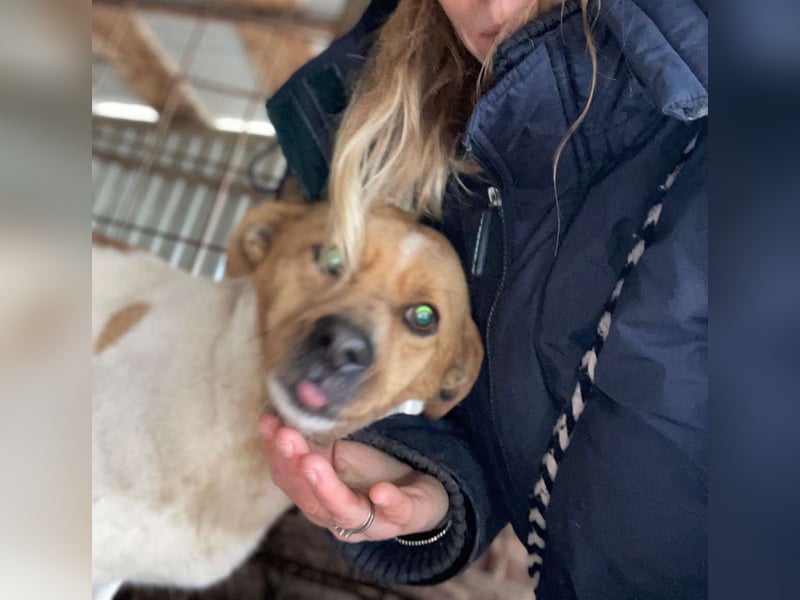 Kleiner Freddi sucht liebevolles Zuhause