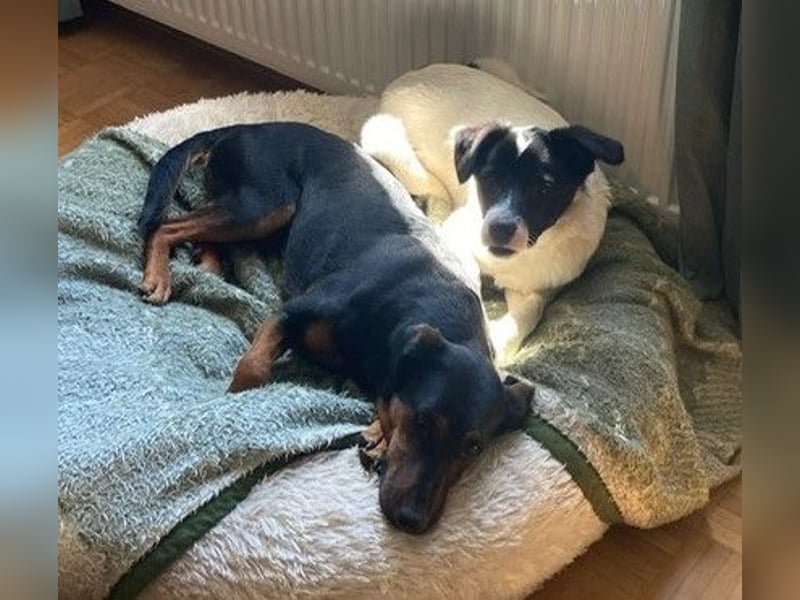 ❤️ Teddy Pflegefamilie Erkelenz