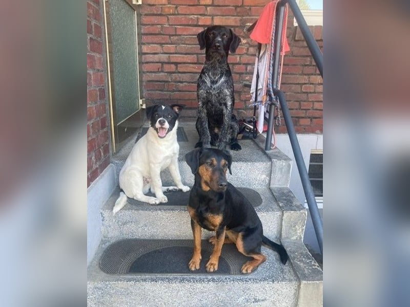 ❤️ Teddy Pflegefamilie Erkelenz