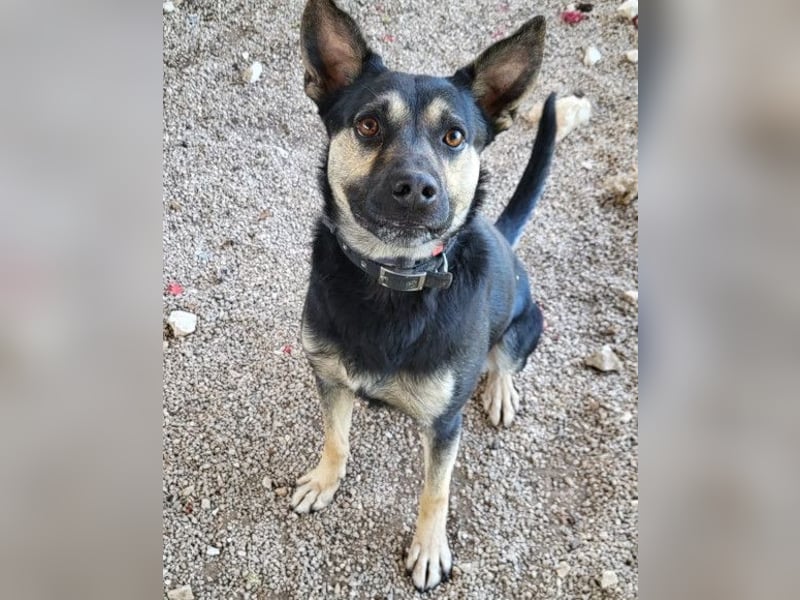 Otto ❤️ so freundlich und verträglich!
