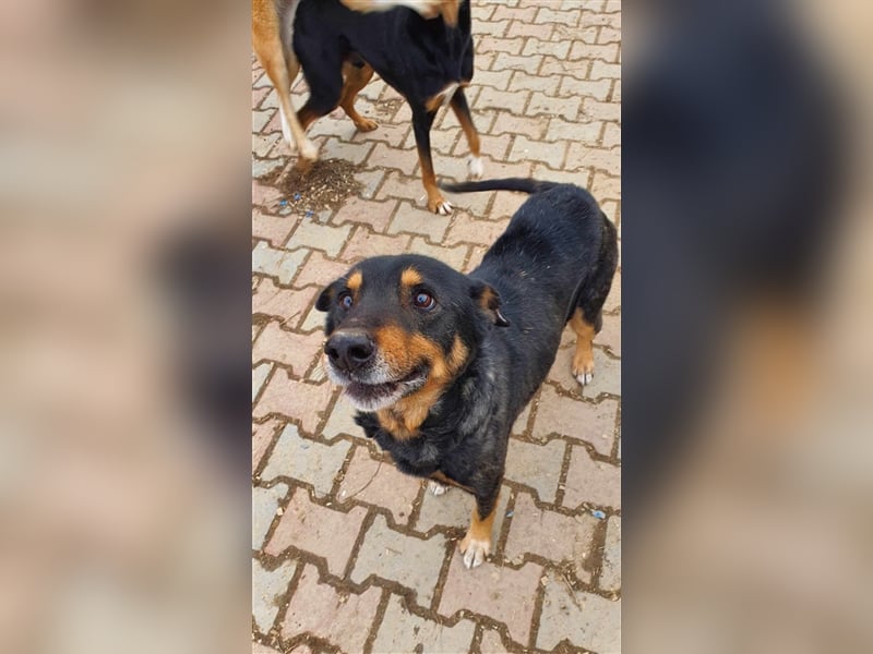 Printi möchte eine Chance erhalten