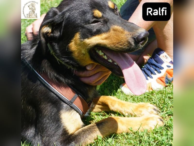 Ralfi – einer unter vielen, doch für dich einzigartig!