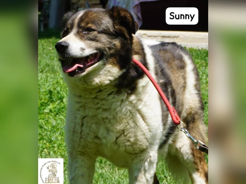 Sunny – Gemütlichkeit kennt keinen Feierabend!