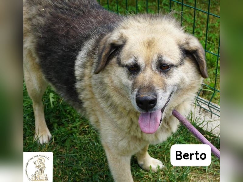Berto – Sein Herz ist voller Neugier und Vertrauen!
