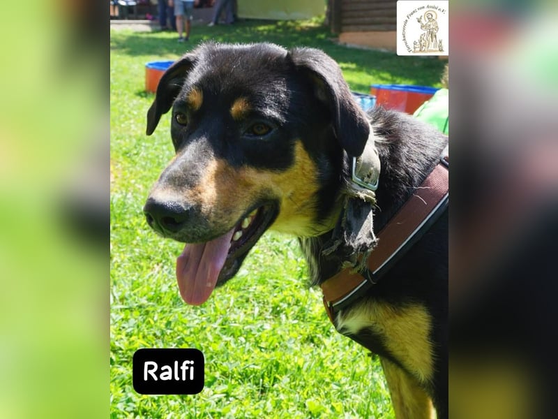 Ralfi – einer unter vielen, doch für dich einzigartig!