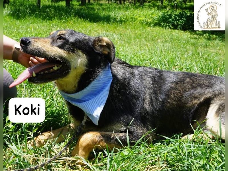 Koki – Glück kann so einfach sein!