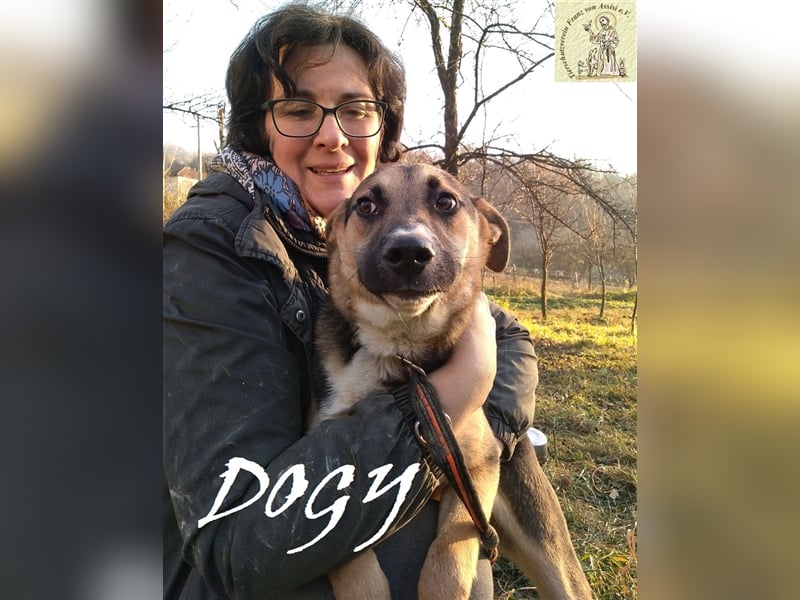 Verschmuster Dogy