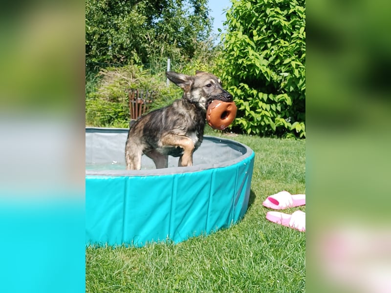 Johnny – Charmeur mit der Sonne im Herzen