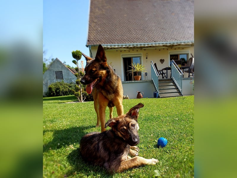 Johnny – Charmeur mit der Sonne im Herzen