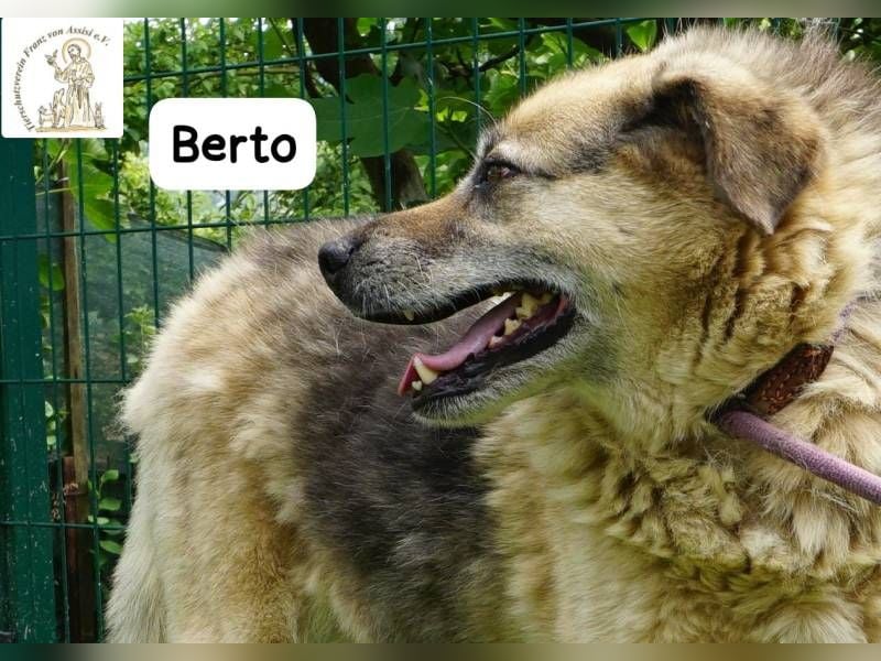 Berto – Sein Herz ist voller Neugier und Vertrauen!