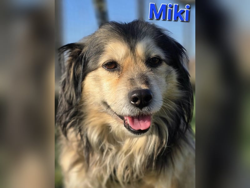 ❤️ Miki