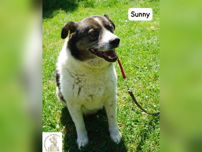 Sunny – Gemütlichkeit kennt keinen Feierabend!