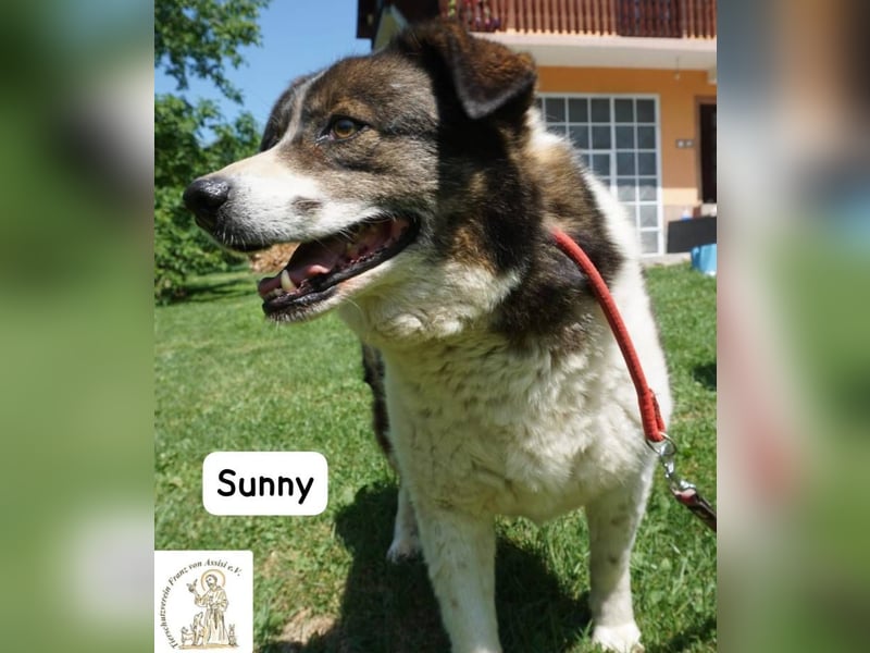 Sunny – Gemütlichkeit kennt keinen Feierabend!