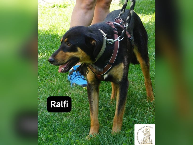 Ralfi – einer unter vielen, doch für dich einzigartig!