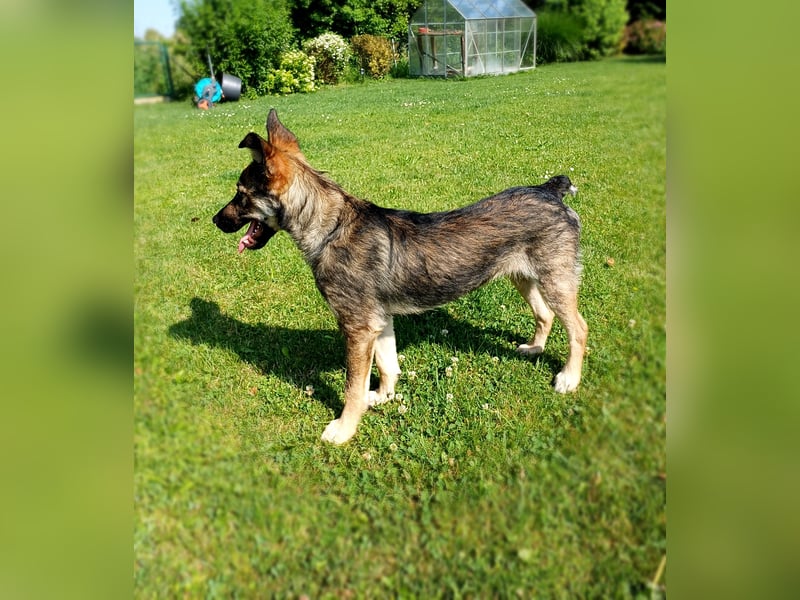 Johnny – Charmeur mit der Sonne im Herzen