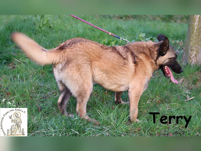 Der fröhliche Terry