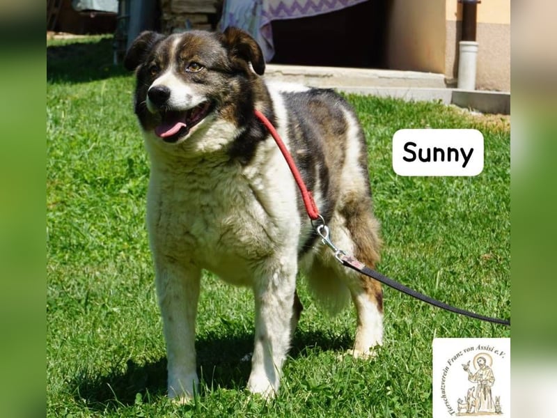 Sunny – Gemütlichkeit kennt keinen Feierabend!