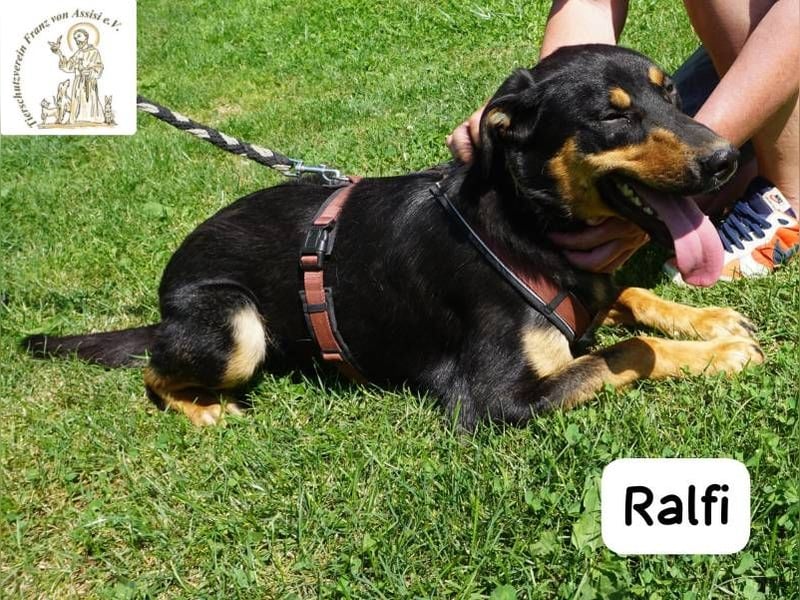 Ralfi – einer unter vielen, doch für dich einzigartig!