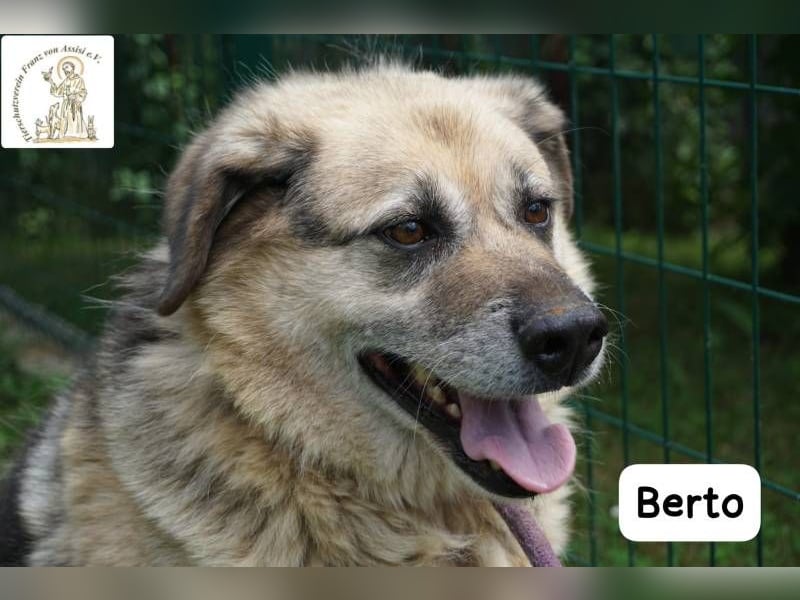 Berto – Sein Herz ist voller Neugier und Vertrauen!