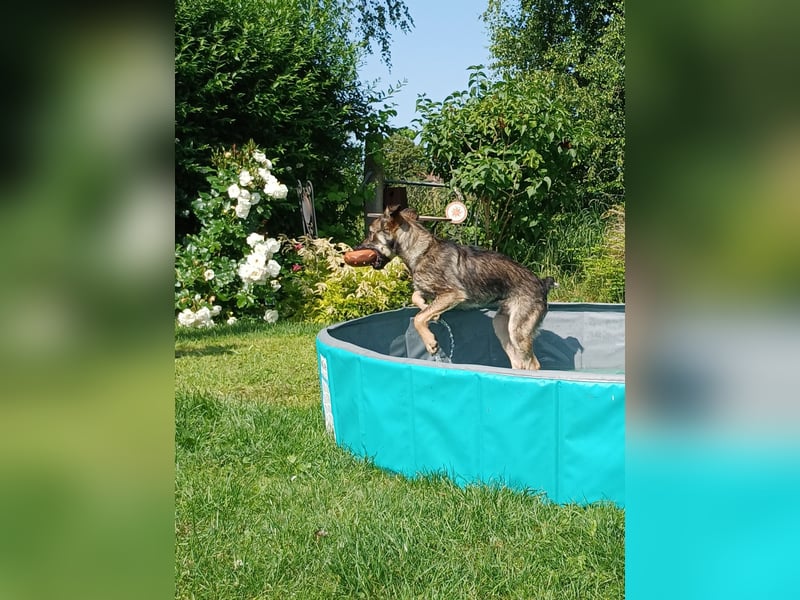 Johnny – Charmeur mit der Sonne im Herzen
