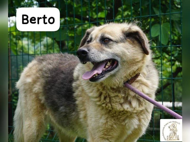 Berto – Sein Herz ist voller Neugier und Vertrauen!