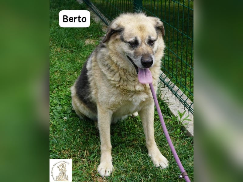 Berto – Sein Herz ist voller Neugier und Vertrauen!