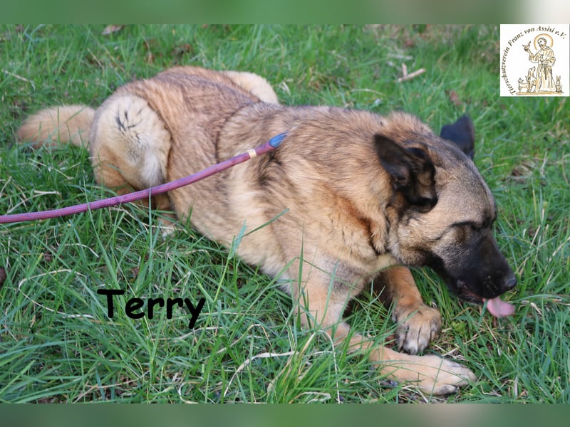 Der fröhliche Terry