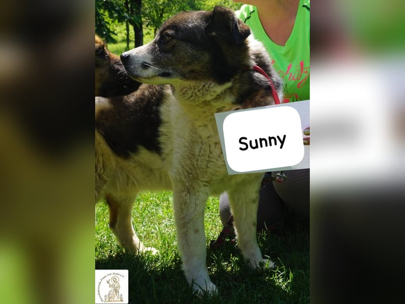 Sunny – Gemütlichkeit kennt keinen Feierabend!