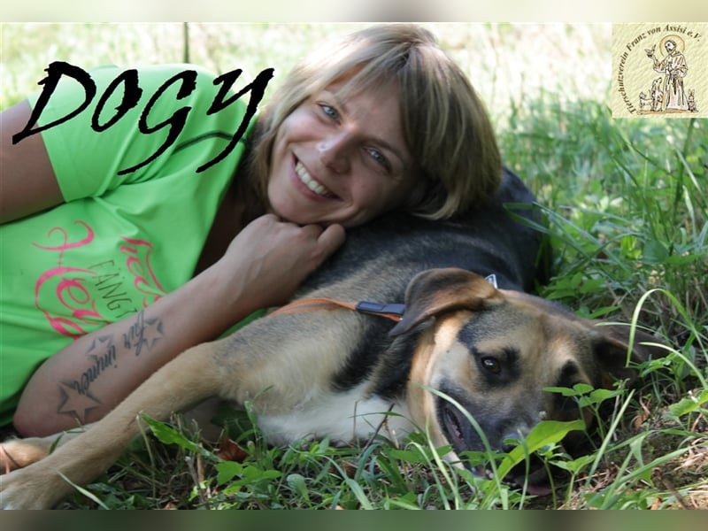 Verschmuster Dogy