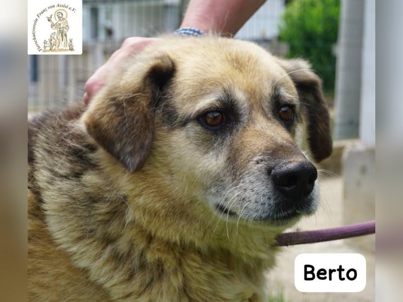 Berto – Sein Herz ist voller Neugier und Vertrauen!