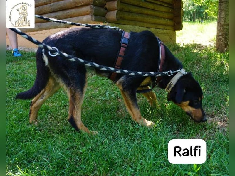 Ralfi – einer unter vielen, doch für dich einzigartig!
