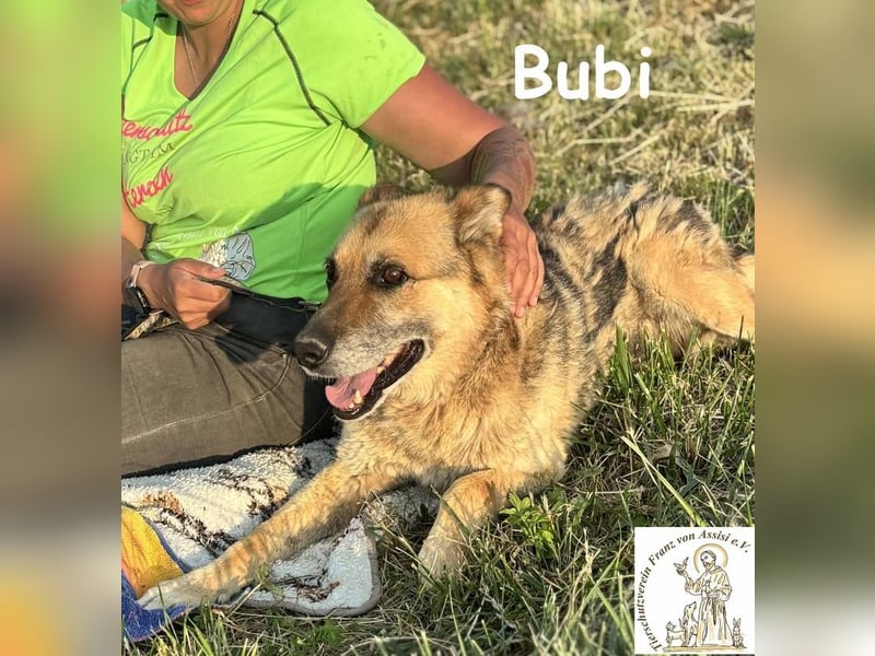 Bubi – Kein Draufgänger, sondern ein Freund fürs Herz!
