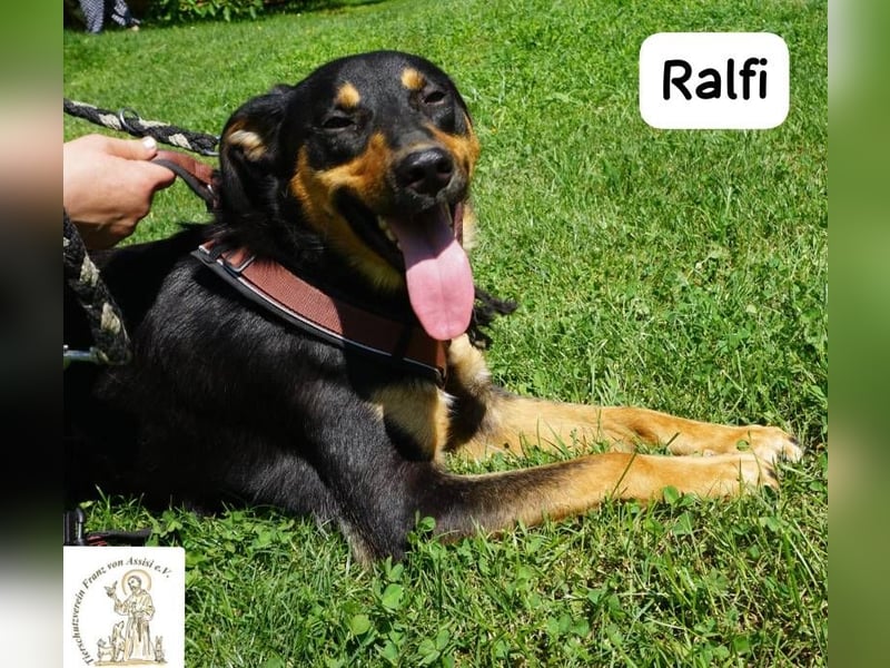 Ralfi – einer unter vielen, doch für dich einzigartig!