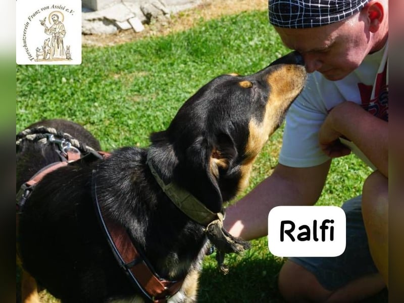 Ralfi – einer unter vielen, doch für dich einzigartig!