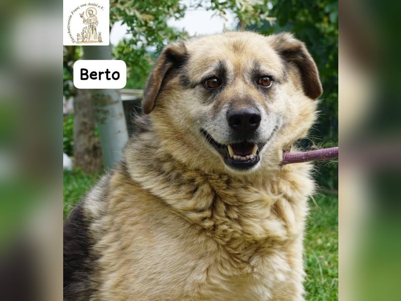 Berto – Sein Herz ist voller Neugier und Vertrauen!