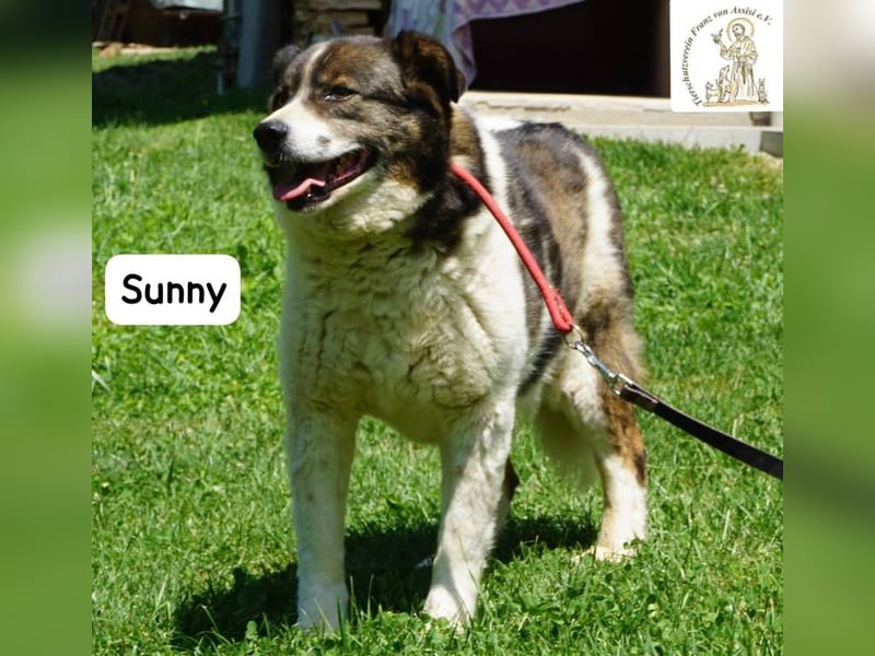 Sunny – Gemütlichkeit kennt keinen Feierabend!