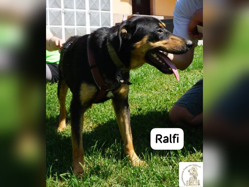 Ralfi – einer unter vielen, doch für dich einzigartig!
