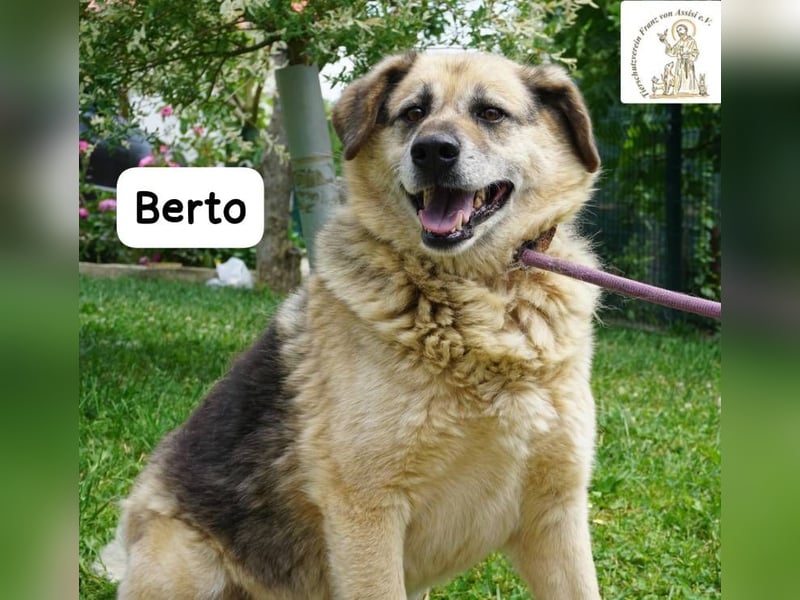 Berto – Sein Herz ist voller Neugier und Vertrauen!