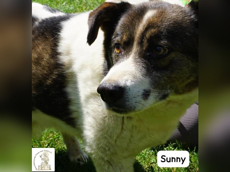 Sunny – Gemütlichkeit kennt keinen Feierabend!