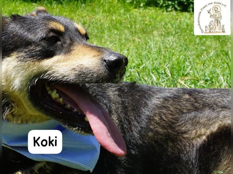 Koki – Glück kann so einfach sein!