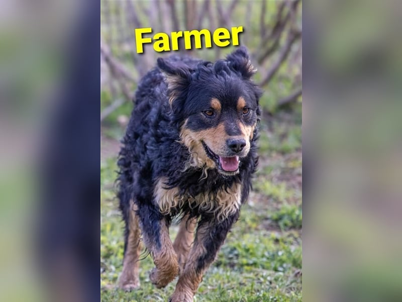 ❤️ Farmer