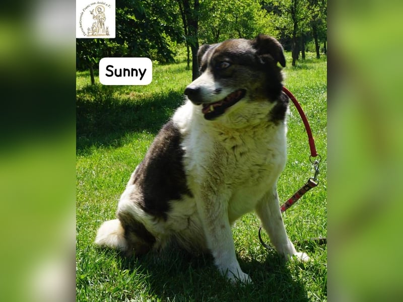 Sunny – Gemütlichkeit kennt keinen Feierabend!
