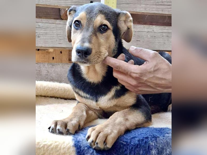 Gigi ist auf der Suche nach einer Zukunft
