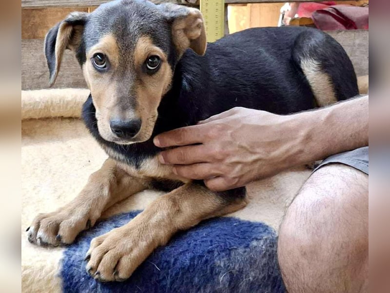 Gigi ist auf der Suche nach einer Zukunft