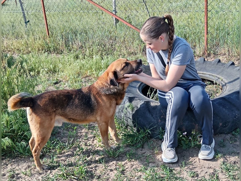 Gunvald unser Herzenshund