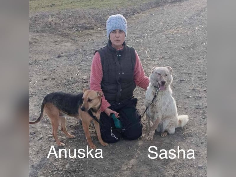Sasha - ein Kriegsflüchtling sucht seinen Platz für's Leben