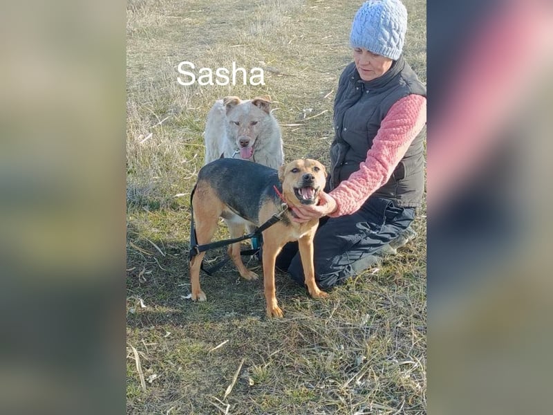 Sasha - ein Kriegsflüchtling sucht seinen Platz für's Leben