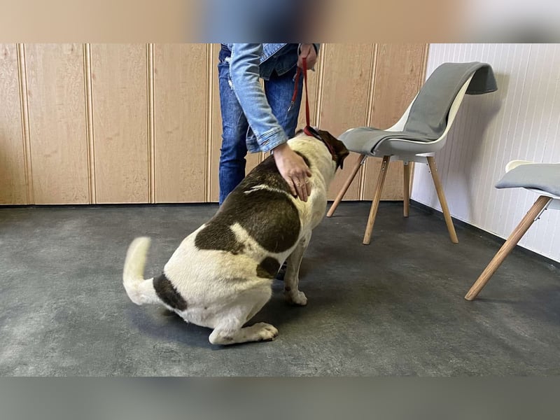 Folti, freundlich, lieb und im besten Alter