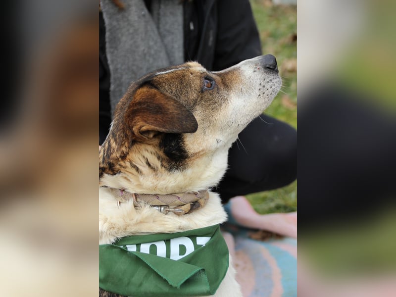 Folti, freundlich, lieb und im besten Alter